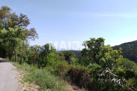 Земля за 55 000 евро в Португалии