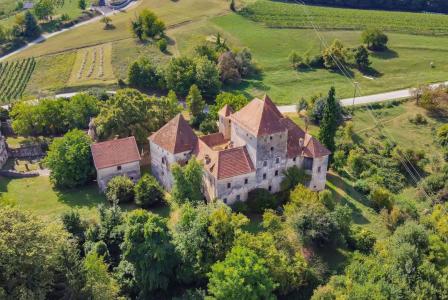 Отель, гостиница за 880 000 евро в Шентерней, Словения