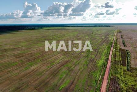 Земля за 55 000 000 евро в Бразилии