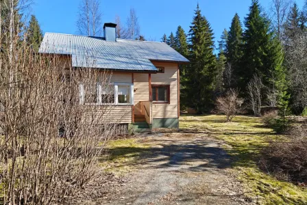 Дом за 15 000 евро в Ямся, Финляндия