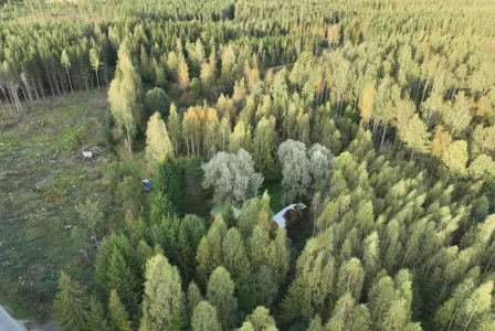 Коттедж за 10 000 евро в Кангасниеми, Финляндия