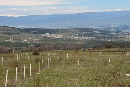 Земля за 101 314 евро в Тбилиси, Грузия