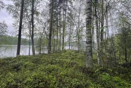 Земля за 35 000 евро в Раутъярви, Финляндия