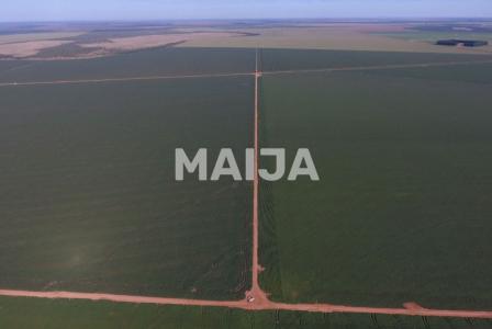 Земля за 23 100 000 евро в Бразилии