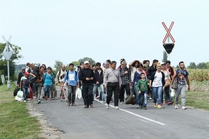 беженцы в Венгрии