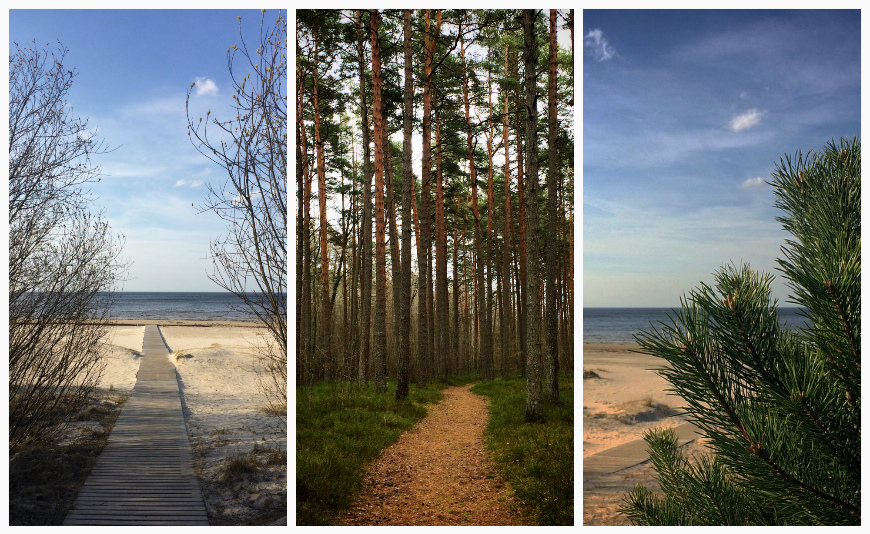 Латвия, Юрмала, Дзинтари пляж море сосны отдых природа 